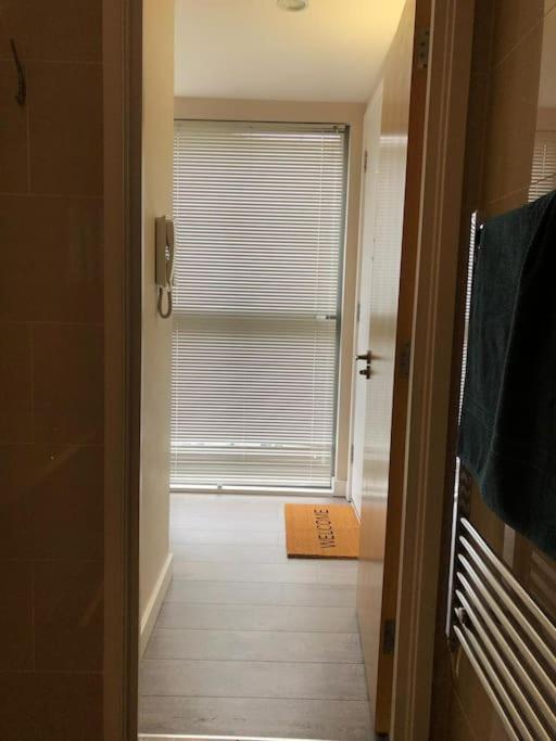 Studio Apartment Opposite Shoreditch Park Лондон Экстерьер фото